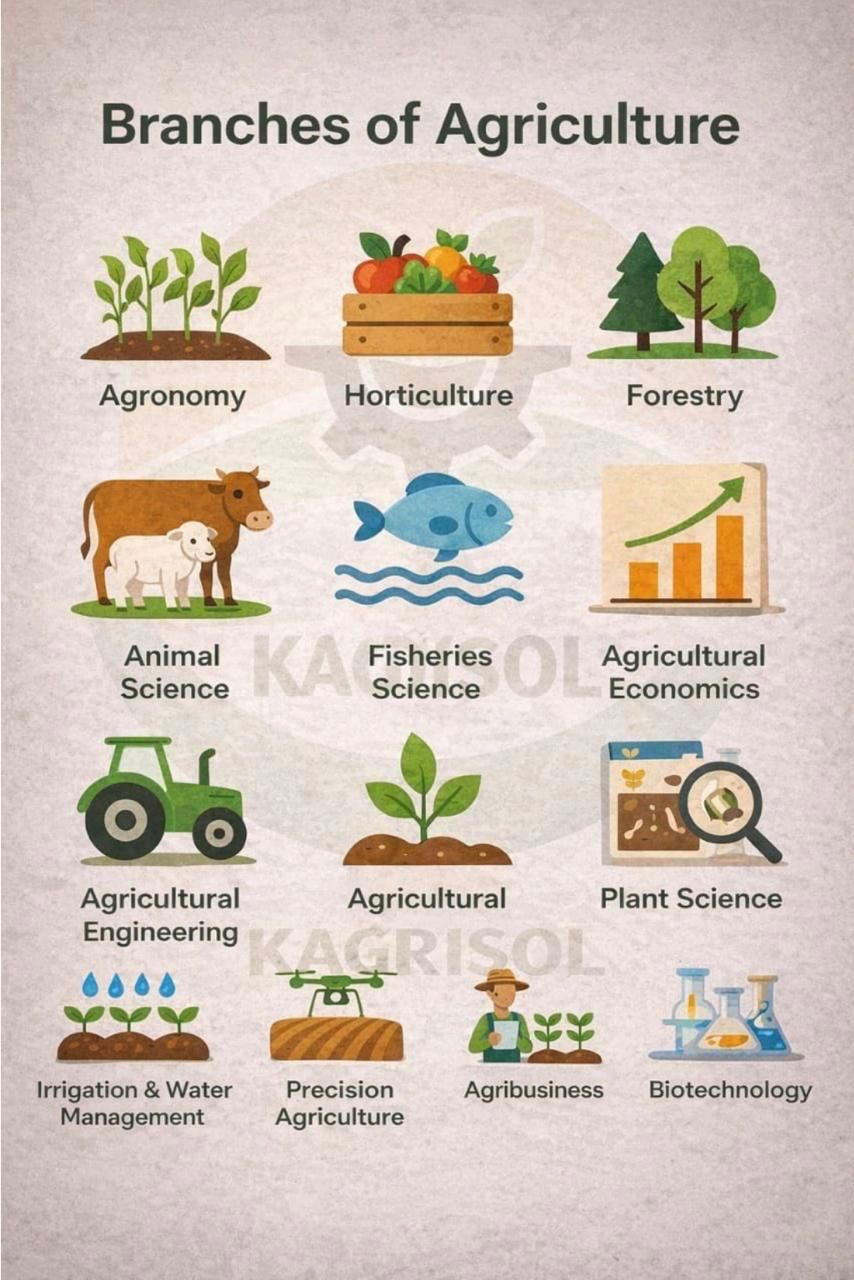 Agriculture Image