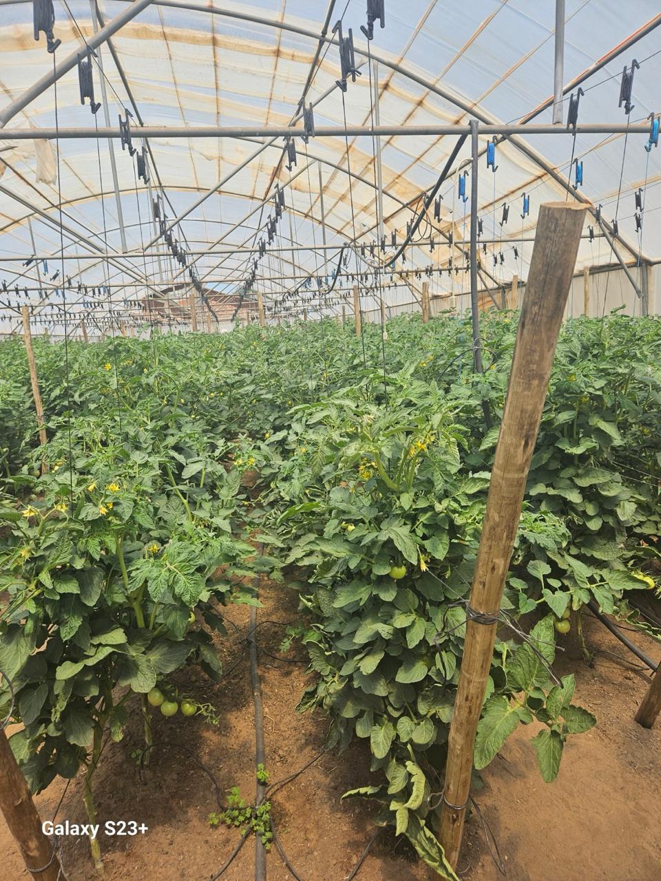 Agricultural Technology Training